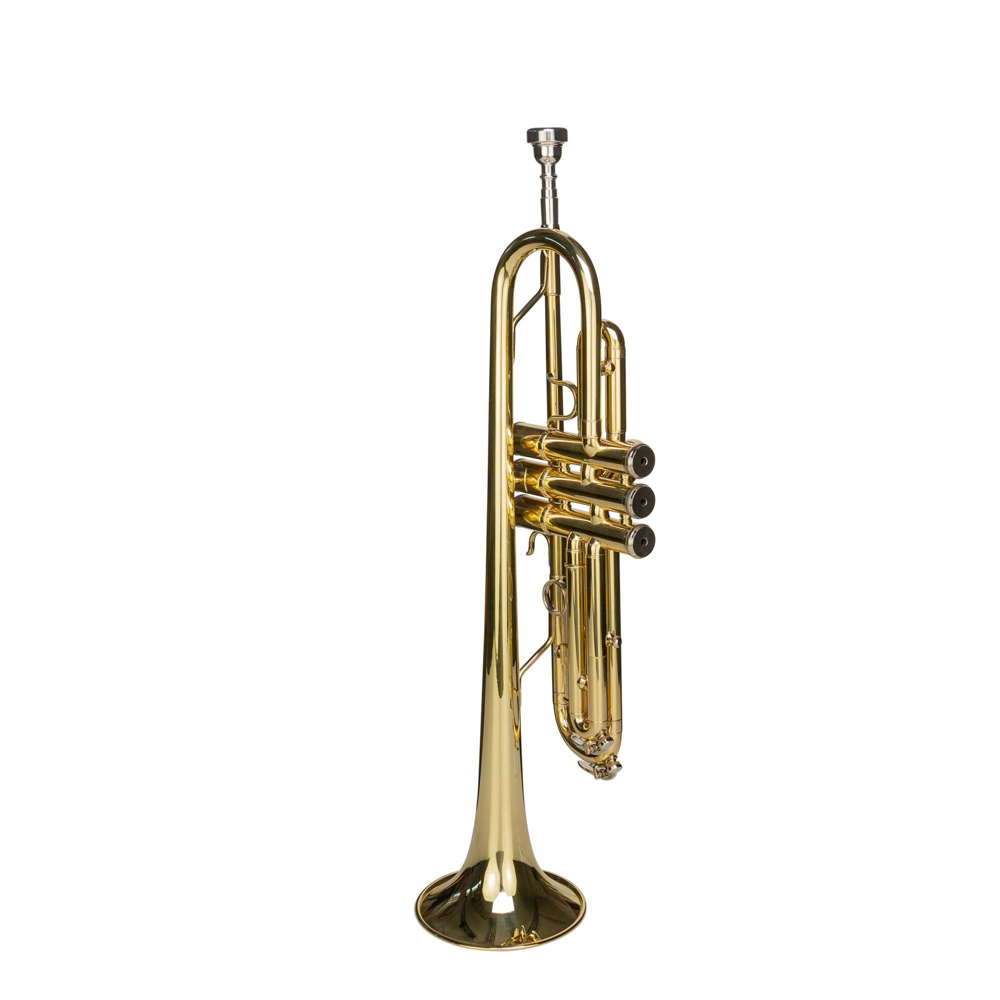 Trumpet Fox trumpet  Product Photos 3